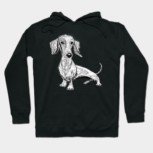 Cute dachshund Hoodie